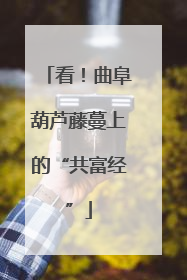 看！曲阜葫芦藤蔓上的“共富经”