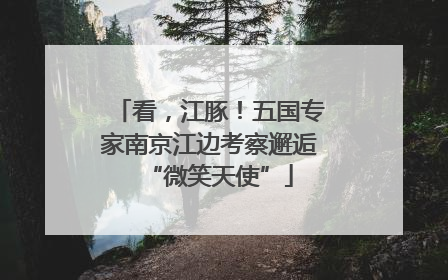 看，江豚！五国专家南京江边考察邂逅“微笑天使”