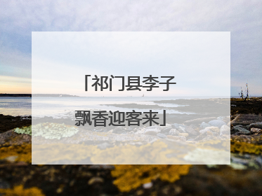 祁门县李子飘香迎客来