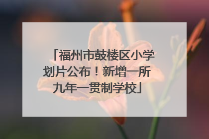 福州市鼓楼区小学划片公布！新增一所九年一贯制学校