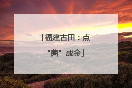 福建古田：点“菌”成金