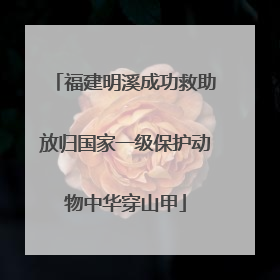 福建明溪成功救助放归国家一级保护动物中华穿山甲