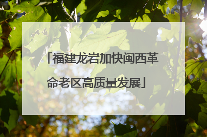 福建龙岩加快闽西革命老区高质量发展