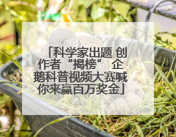 科学家出题 创作者“揭榜” 企鹅科普视频大赛喊你来赢百万奖金