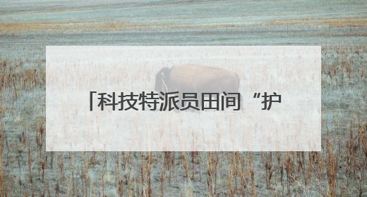 科技特派员田间“护航”中原夏粮丰收