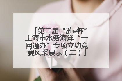 第二届“涟e杯”上海市水务海洋“一网通办”专项立功竞赛风采展示（二）