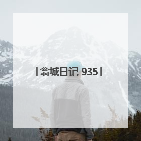 翁城日记 935