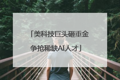 美科技巨头砸重金争抢稀缺AI人才