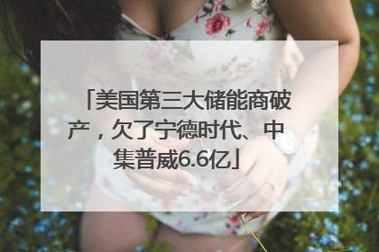 美国第三大储能商破产，欠了宁德时代、中集普威6.6亿