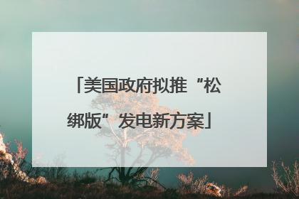 美国政府拟推“松绑版”发电新方案