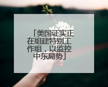 美国证实正在组建特别工作组，以监控中东局势