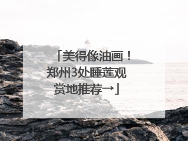 美得像油画！郑州3处睡莲观赏地推荐→