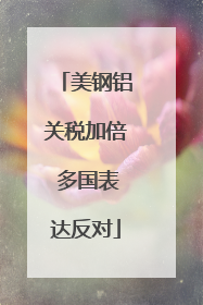 美钢铝关税加倍 多国表达反对
