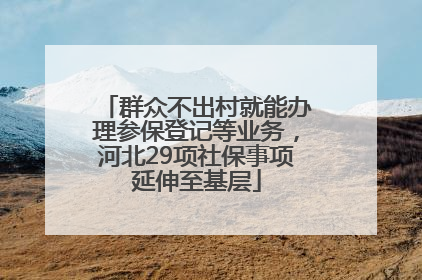 群众不出村就能办理参保登记等业务，河北29项社保事项延伸至基层