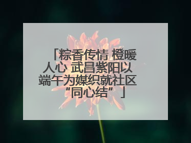 粽香传情 橙暖人心 武昌紫阳以端午为媒织就社区“同心结”