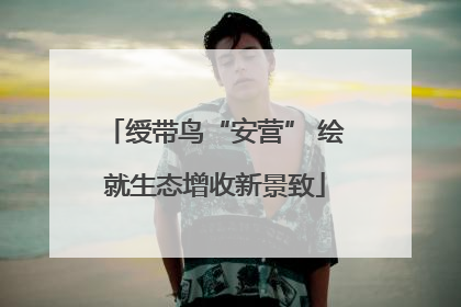 绶带鸟“安营” 绘就生态增收新景致