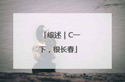 综述｜C一下，很长春