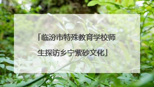 临汾市特殊教育学校师生探访乡宁紫砂文化