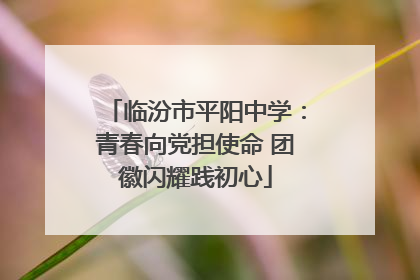 临汾市平阳中学：青春向党担使命 团徽闪耀践初心