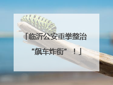 临沂公安重拳整治“飙车炸街”！