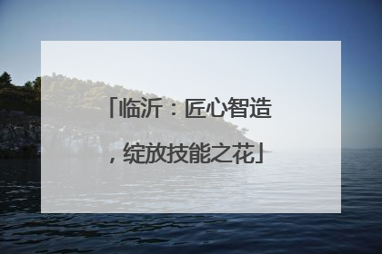 临沂：匠心智造，绽放技能之花