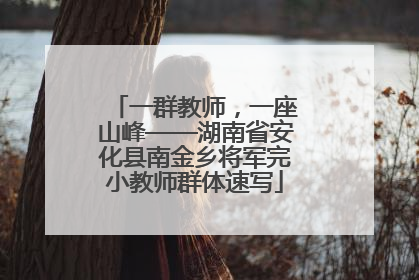 一群教师，一座山峰——湖南省安化县南金乡将军完小教师群体速写