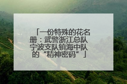 一份特殊的花名册：武警浙江总队宁波支队镇海中队的“精神密码”