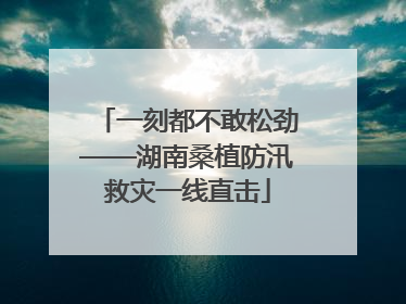 一刻都不敢松劲——湖南桑植防汛救灾一线直击