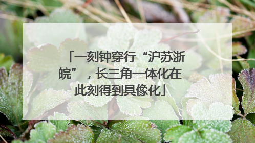 一刻钟穿行“沪苏浙皖”，长三角一体化在此刻得到具像化