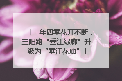 一年四季花开不断，三阳路“垂江绿廊”升级为“垂江花廊”