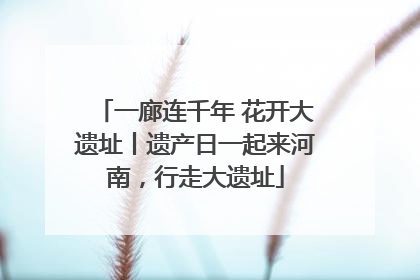 一廊连千年 花开大遗址丨遗产日一起来河南，行走大遗址