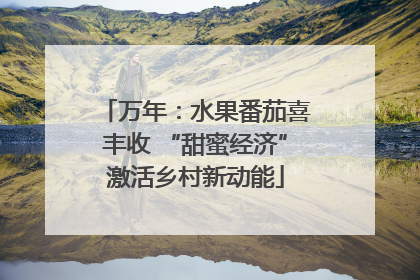 万年：水果番茄喜丰收 “甜蜜经济”激活乡村新动能