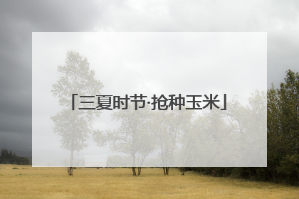 三夏时节·抢种玉米