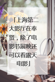 上海第二大影厅在奉贤，除了电影节展映还可以看露天电影