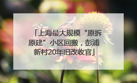 上海最大规模“原拆原建”小区回搬，彭浦新村20年旧改收官