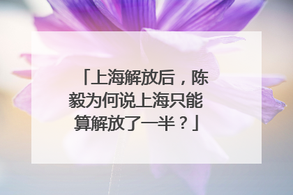 上海解放后，陈毅为何说上海只能算解放了一半？