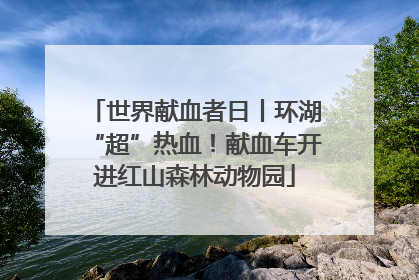 世界献血者日丨环湖“超”热血！献血车开进红山森林动物园