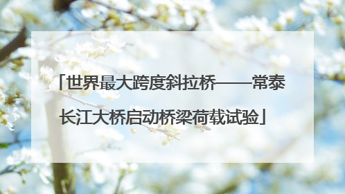 世界最大跨度斜拉桥——常泰长江大桥启动桥梁荷载试验