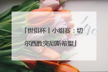 世俱杯丨小组赛：切尔西胜突尼斯希望