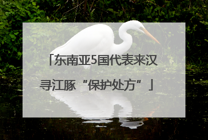 东南亚5国代表来汉寻江豚“保护处方”
