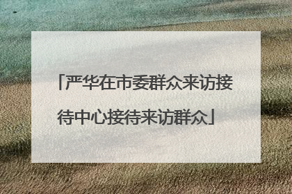 严华在市委群众来访接待中心接待来访群众