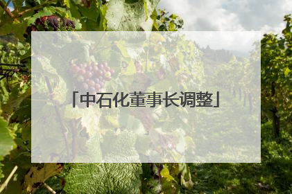 中石化董事长调整