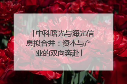 中科曙光与海光信息拟合并：资本与产业的双向奔赴