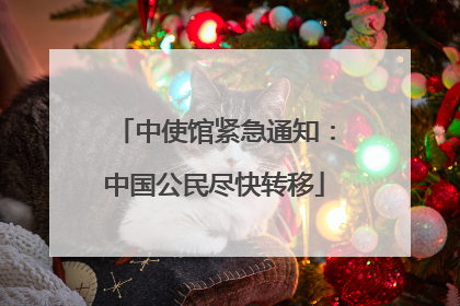 中使馆紧急通知：中国公民尽快转移