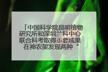中国科学院昆明植物研究所和深圳兰科中心联合科考取得重要成果 在神农架发现两种“国保”级兰花
