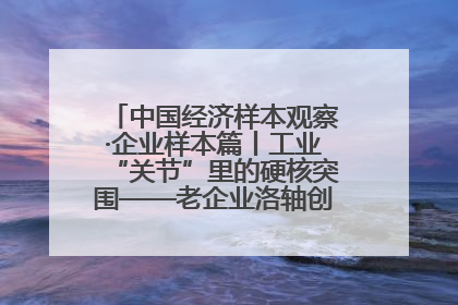 中国经济样本观察·企业样本篇丨工业“关节”里的硬核突围——老企业洛轴创新蝶变启示录