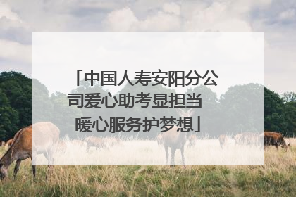 中国人寿安阳分公司爱心助考显担当 暖心服务护梦想