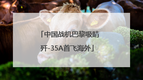 中国战机巴黎吸睛 歼-35A首飞海外
