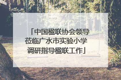 中国楹联协会领导莅临广水市实验小学调研指导楹联工作