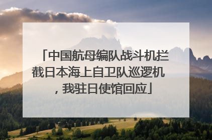 中国航母编队战斗机拦截日本海上自卫队巡逻机，我驻日使馆回应